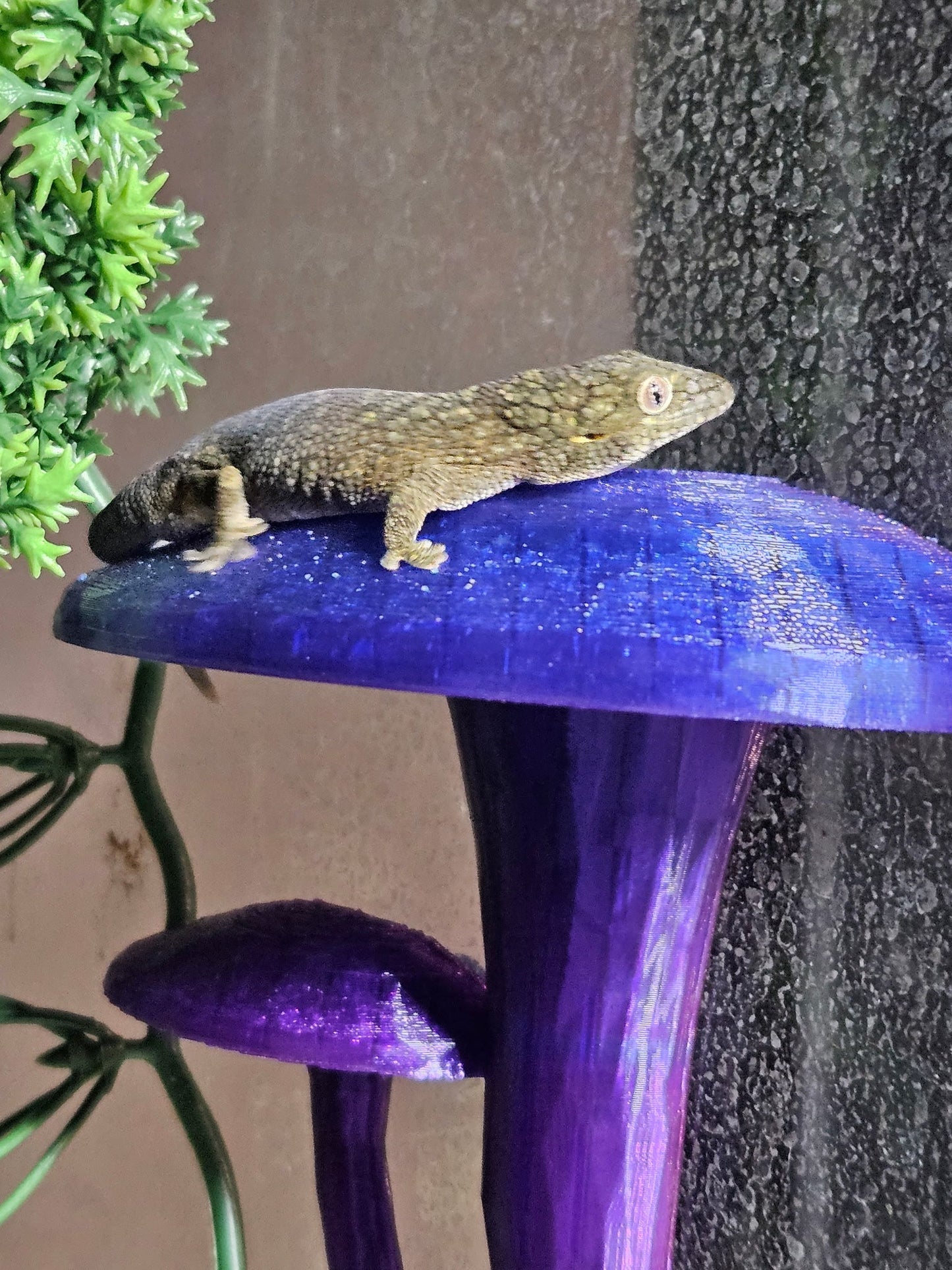 Decorative Mushroom