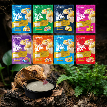 Gargeer 'Picky Geck' Discovery Kit | 8 Sachet Flavors to Test and Enjoy | Real Fruit & Insect Protein | No Fillers - Only Premium Ingredients | 2.4 oz | Made in USA.