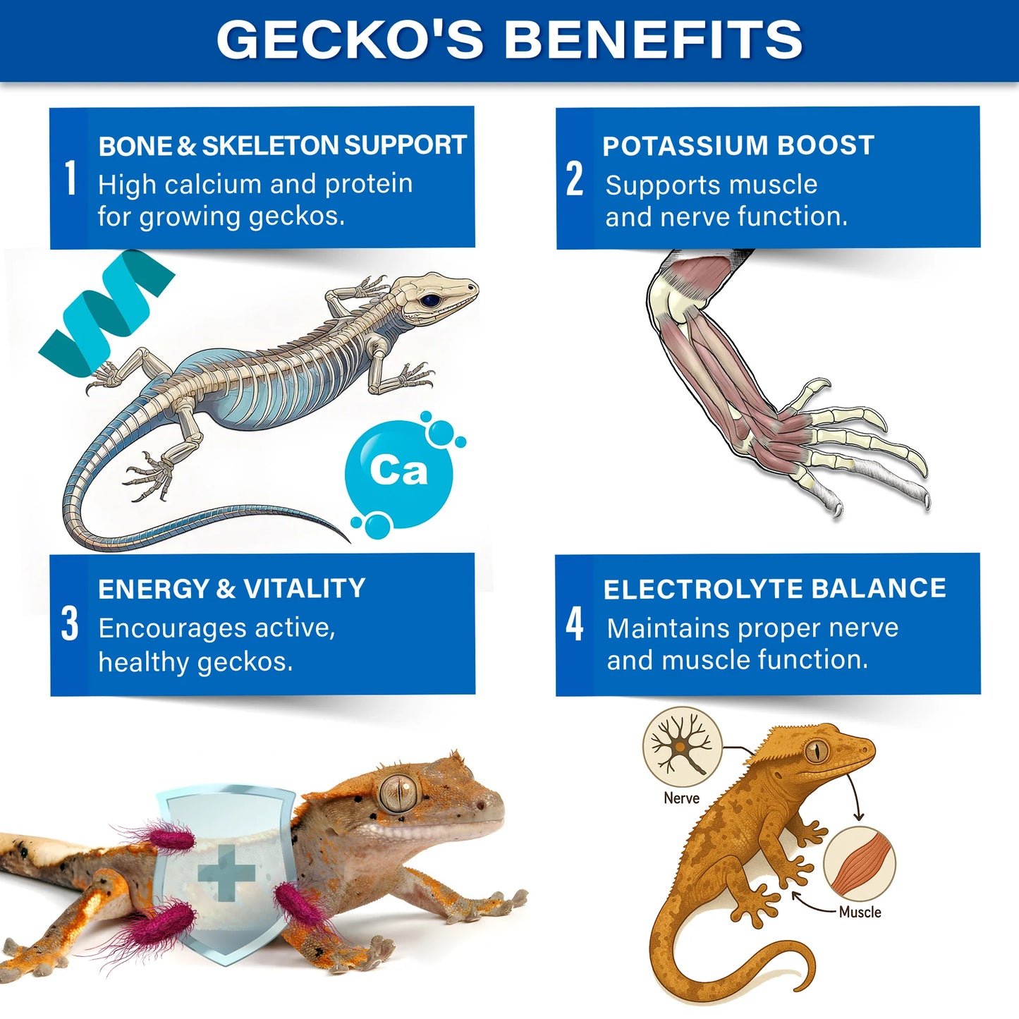 Gargeer 'Picky Geck' Discovery Kit | 8 Sachet Flavors to Test and Enjoy | Real Fruit & Insect Protein | No Fillers - Only Premium Ingredients | 2.4 oz | Made in USA.