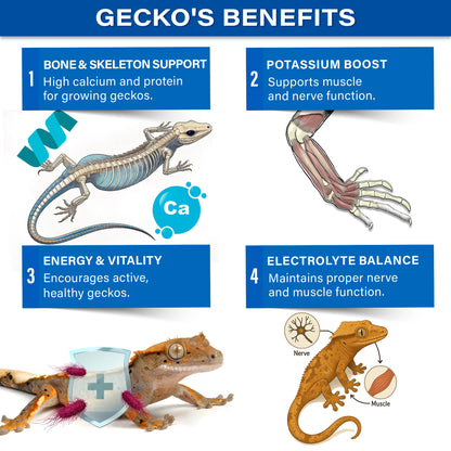 Gargeer 'Picky Geck' Discovery Kit | 8 Sachet Flavors to Test and Enjoy | Real Fruit & Insect Protein | No Fillers - Only Premium Ingredients | 2.4 oz | Made in USA.