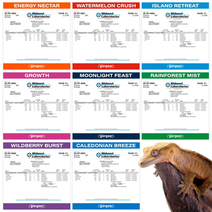 Gargeer 'Picky Geck' Discovery Kit | 8 Sachet Flavors to Test and Enjoy | Real Fruit & Insect Protein | No Fillers - Only Premium Ingredients | 2.4 oz | Made in USA.