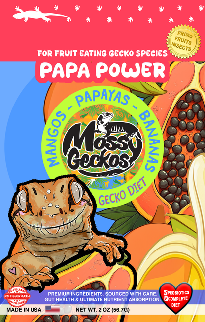 4 Pack of Gecko Diets